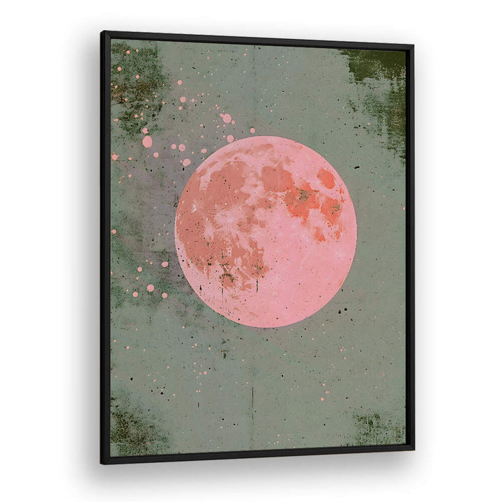 PINK MOON