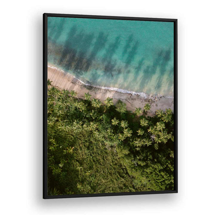 PALM BEACH FROM ABOVE  BY RAISA ZWART , LANDSCAPE PHOTO PRINTS