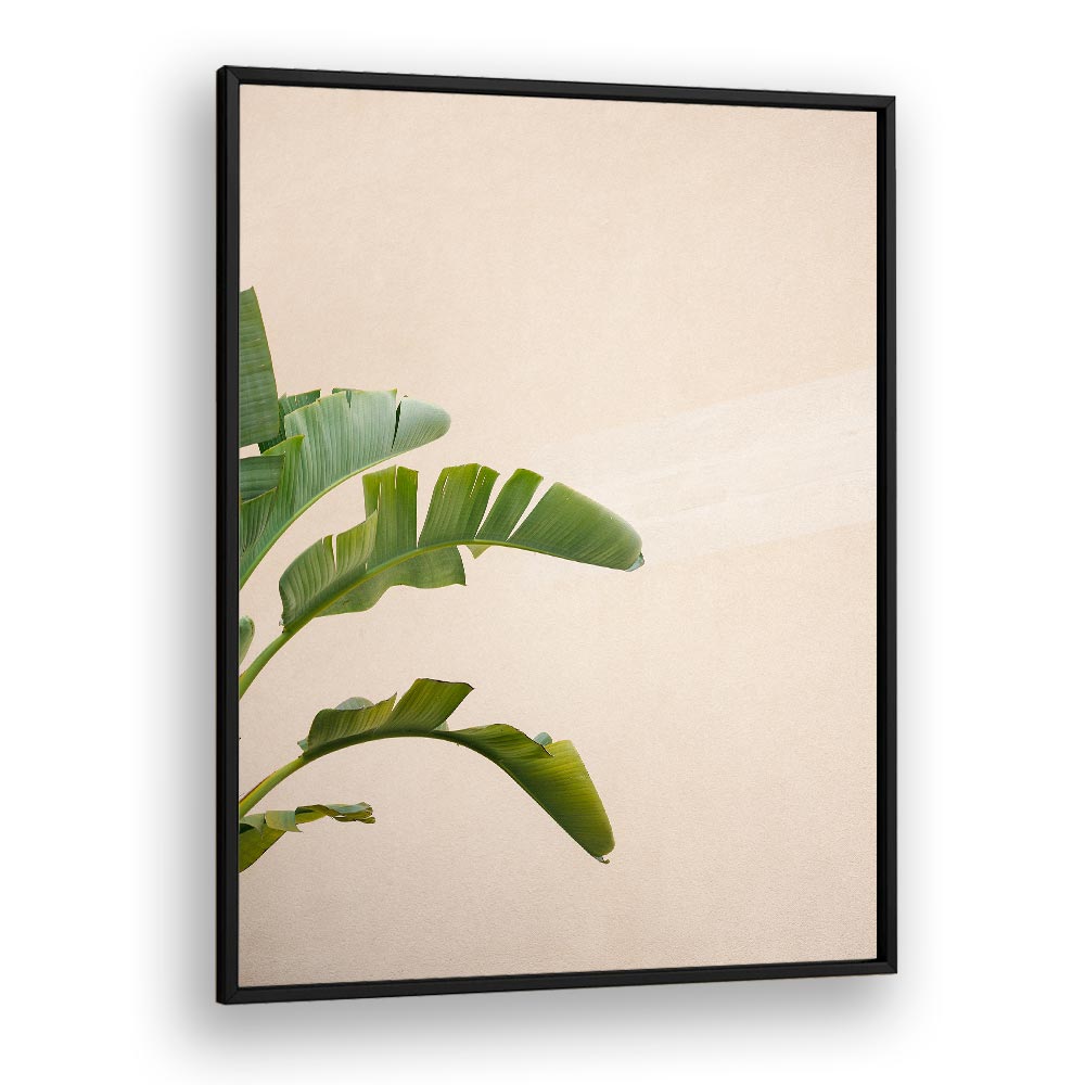 CANNES BANANA PLANT BY RAISA ZWART , LANDSCAPE PHOTO PRINTS