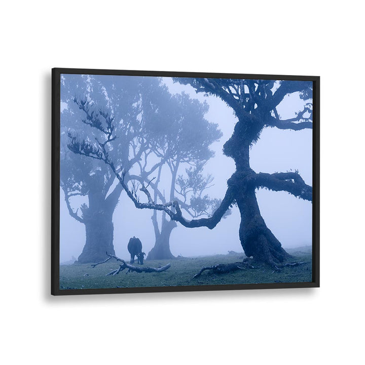 BLUE ENT , LANDSCAPE PHOTO PRINTS , LANDSCAPE PHOTOGRAPHY