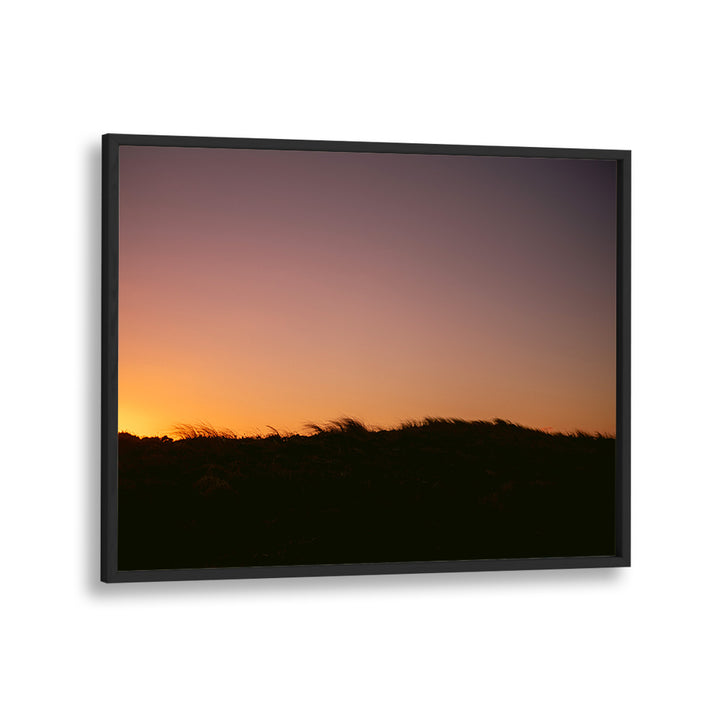 DUNE GRASS SUNSET HORIZONTAL , LANDSCAPE PHOTO PRINTS