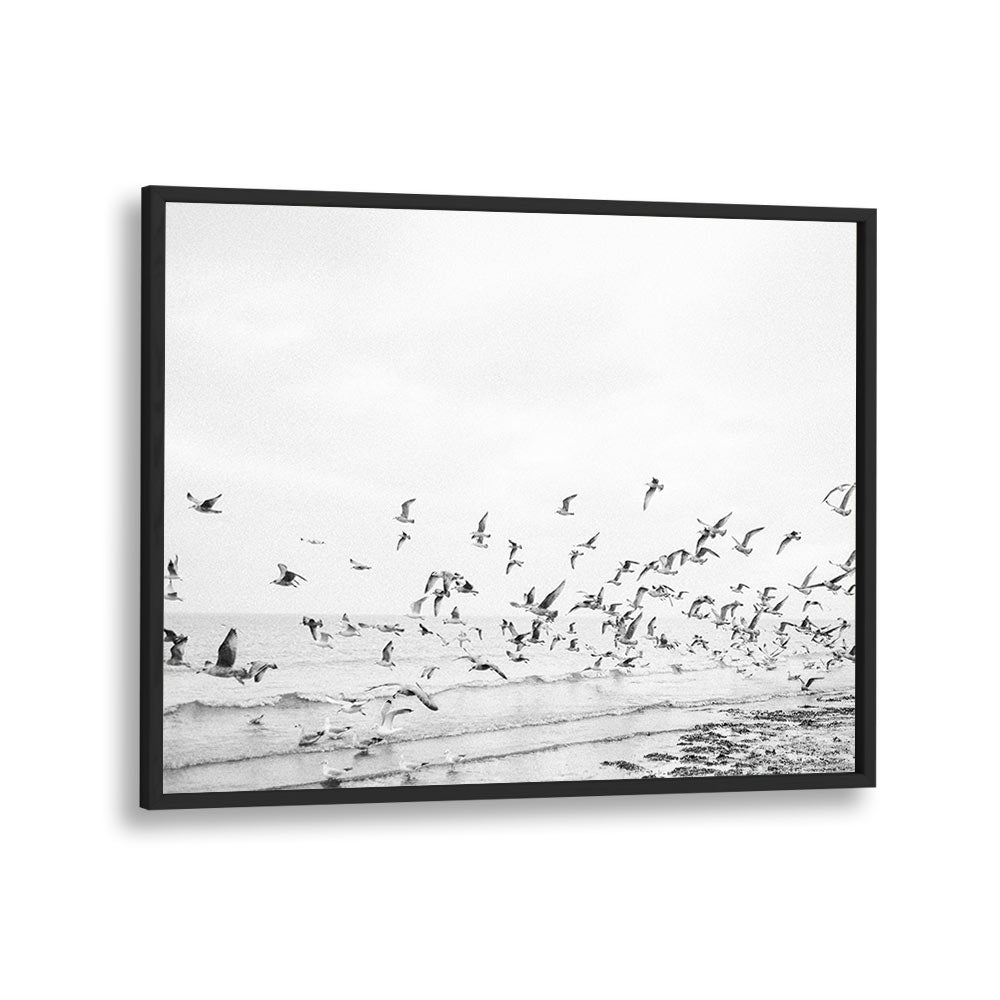 SEAGULLS - COASTAL BLACK AND WHITE BY RAISA ZWART , LANDSCAPE PHOTO PRINTS