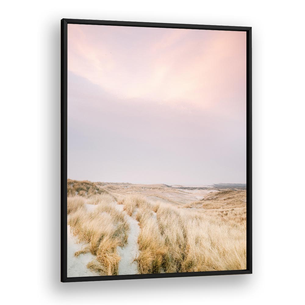 AMELAND DUNES I , PHOTOGRAPHY PRINTS