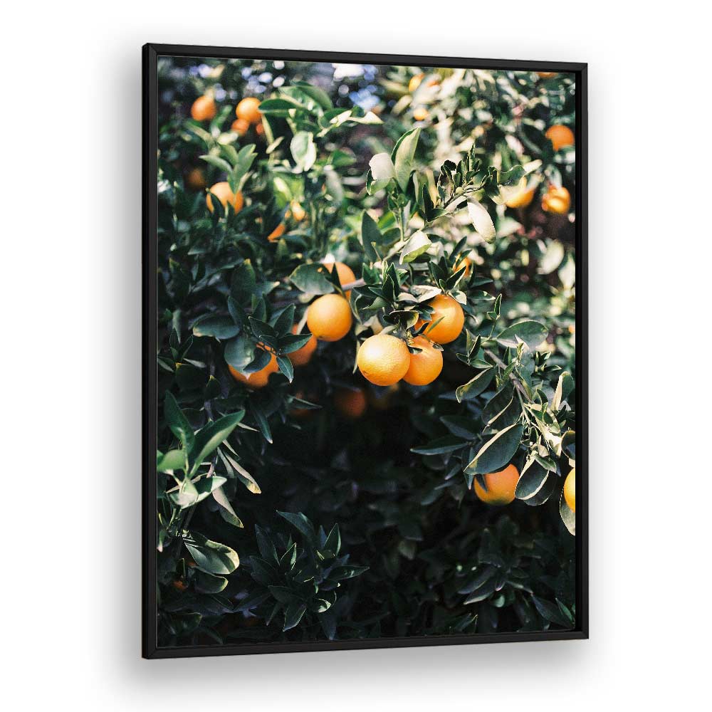 MARRAKESH ORANGES , PHOTOGRAPHY PRINTS