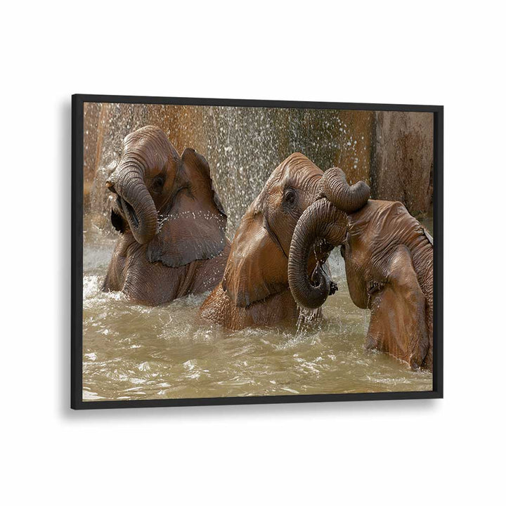 BATH TIME PLAY BY MARC PELISSIER , LANDSCAPE PHOTO PRINTS