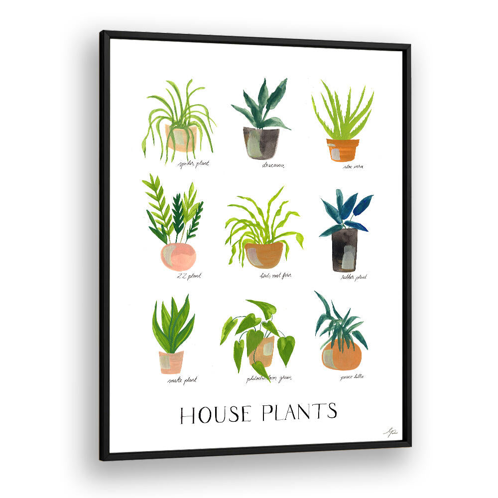 HOUSEPLANTS , FLORAL FLOWER PAINTINGS