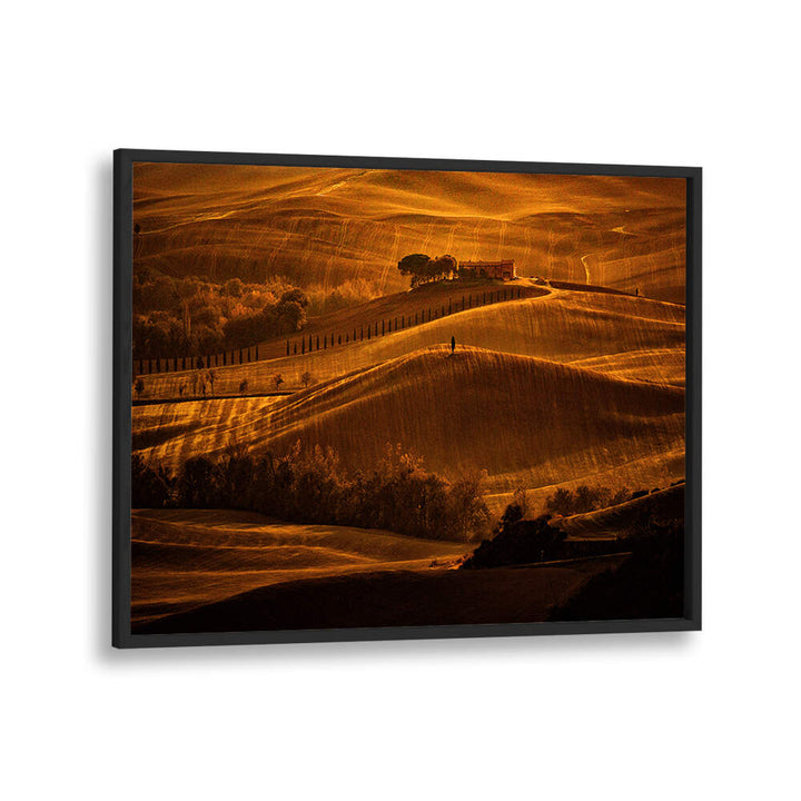 IL CIPRESSO , PHOTOGRAPHY PRINTS