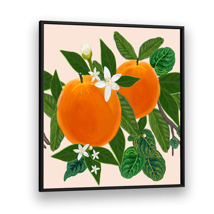 ORANGES , KITCHEN POSTERS