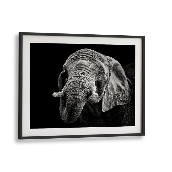 Stunning AFRICAN ELEPHANT, PHOTOGRAPHY PRINTS showcasing the majesty of wildlife in exquisite black and white detail.