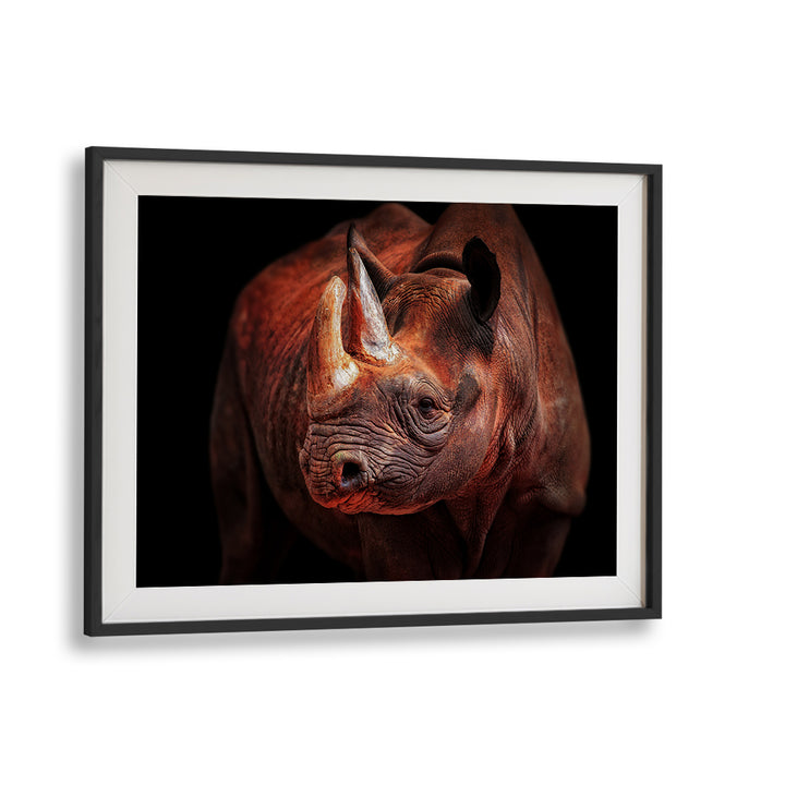 Stunning "Rhino Posing" photography prints showcasing wildlife majesty by Antje Wenner Braun. Perfect for art lovers.