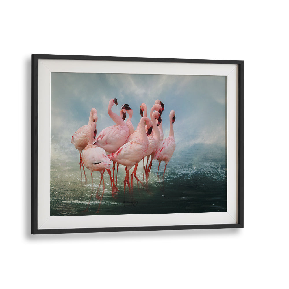 Lesser Flamingo Summit, photography prints showcasing graceful flamingos in serene nature, perfect for wildlife art lovers.