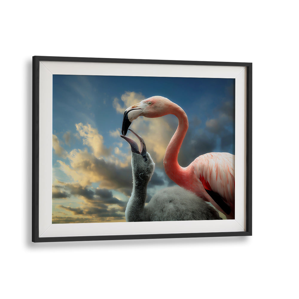 Vibrant wildlife scene showcasing flamingos in "THE NESTLING, PHOTOGRAPHY PRINTS" collection, highlighting nature's beauty.