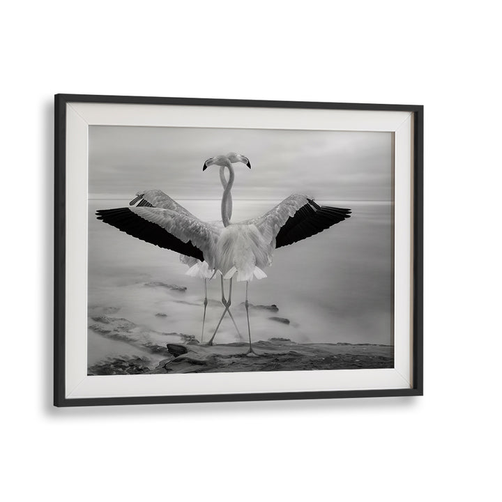 Elegant FLAMINGO'S DUET, PHOTOGRAPHY PRINTS showcasing two graceful flamingos in serene black and white beauty.