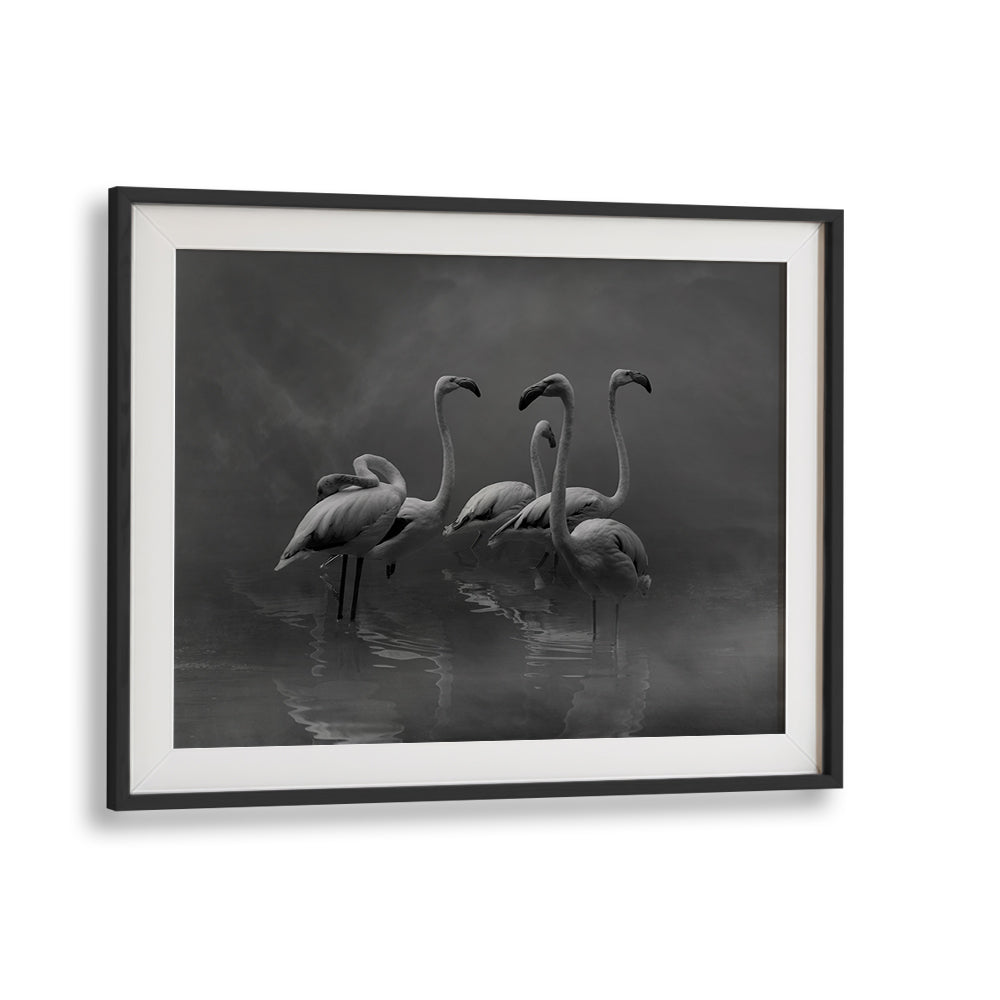 Elegant black and white FLAMINGO PARADISE, PHOTOGRAPHY PRINTS showcasing serene flamingos in tranquil waters.