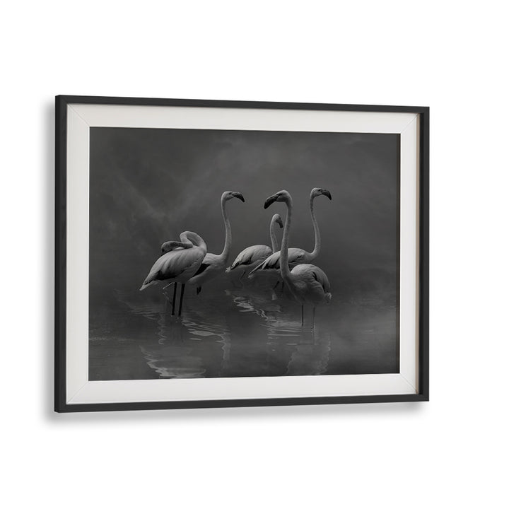 Elegant black and white FLAMINGO PARADISE, PHOTOGRAPHY PRINTS showcasing serene flamingos in tranquil waters.