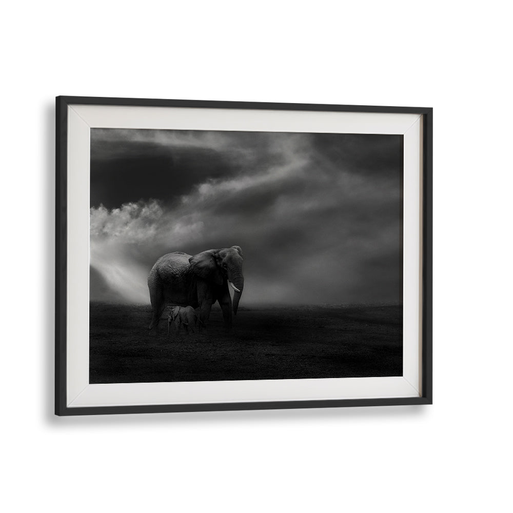 Mother elephant and baby captured in stunning detail, showcasing AFFECTION, PHOTOGRAPHY PRINTS for your home decor.
