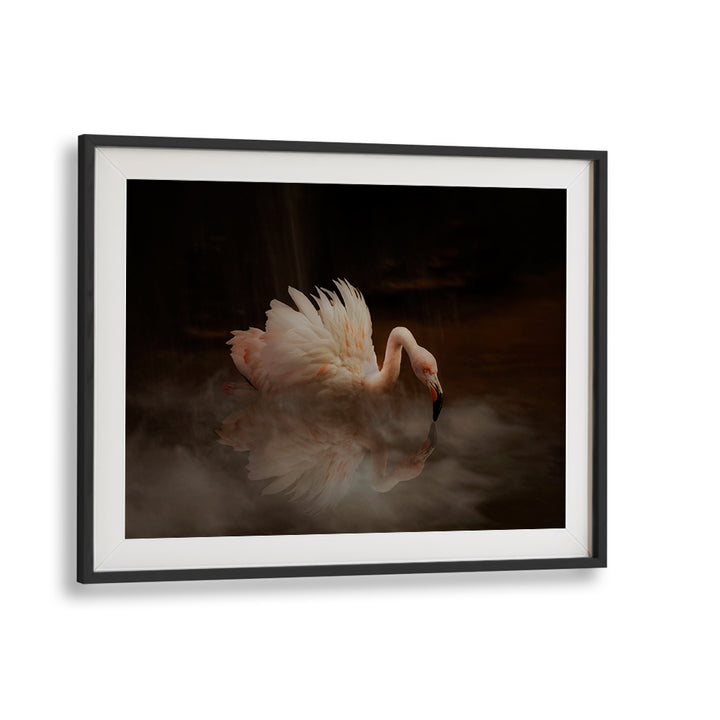 Elegant light pink flamingo reflected in water, featured in FLAMINGO'S PARADISE, PHOTOGRAPHY PRINTS collection.