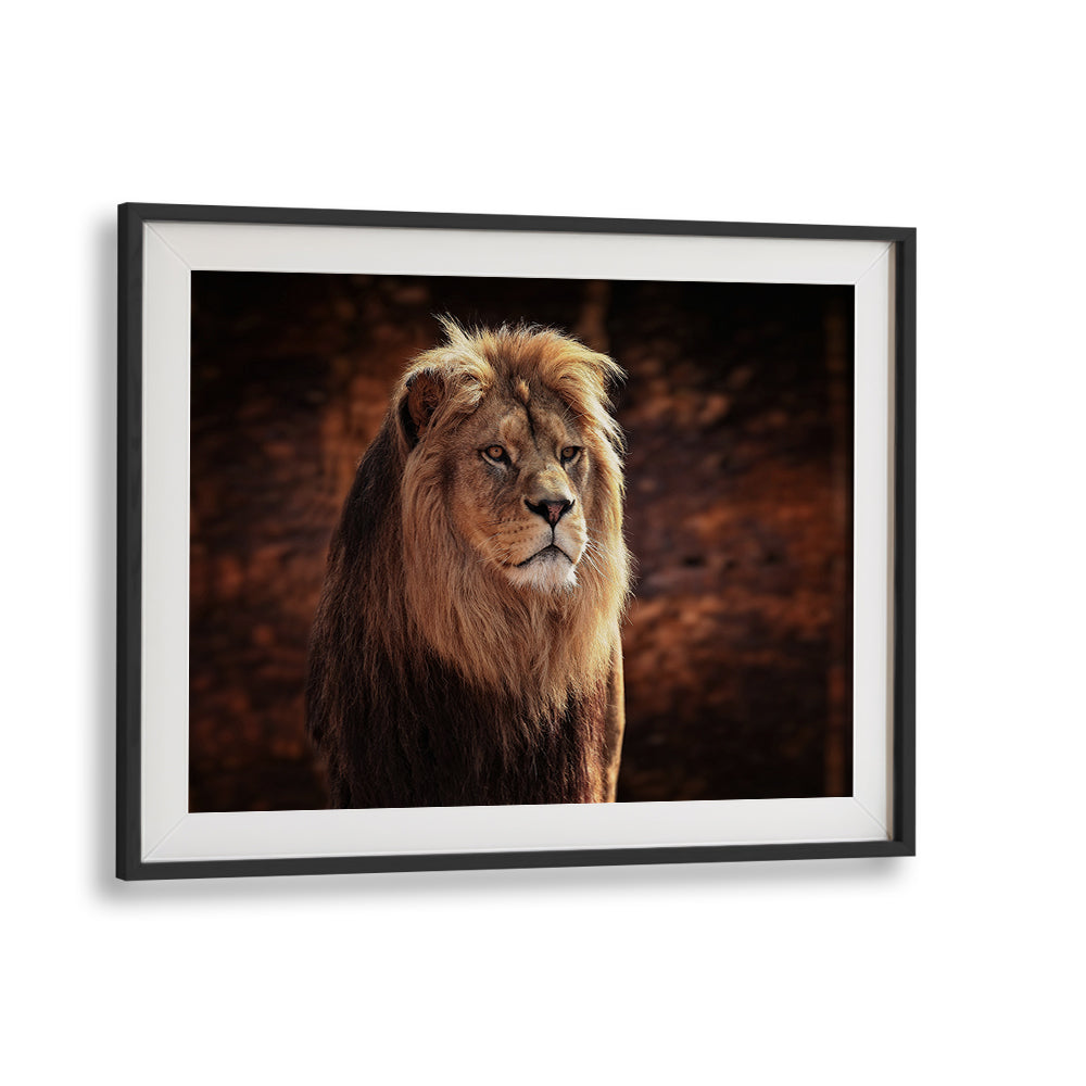 Majestic lion portrait showcasing HIS MAJESTY, PHOTOGRAPHY PRINTS that captures wildlife's grandeur beautifully.