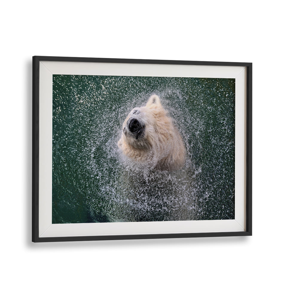 Capture the FRESHNESS FOR HOT SUMMER DAYS with stunning wildlife photography prints, perfect for your decor.