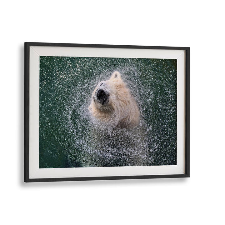 Capture the FRESHNESS FOR HOT SUMMER DAYS with stunning wildlife photography prints, perfect for your decor.