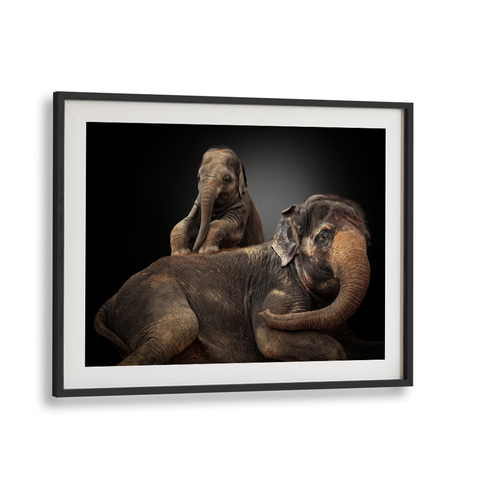 Elegant elephants captured in "My Beloved Troublemaker, Photography Prints," showcasing wildlife artistry at its finest.