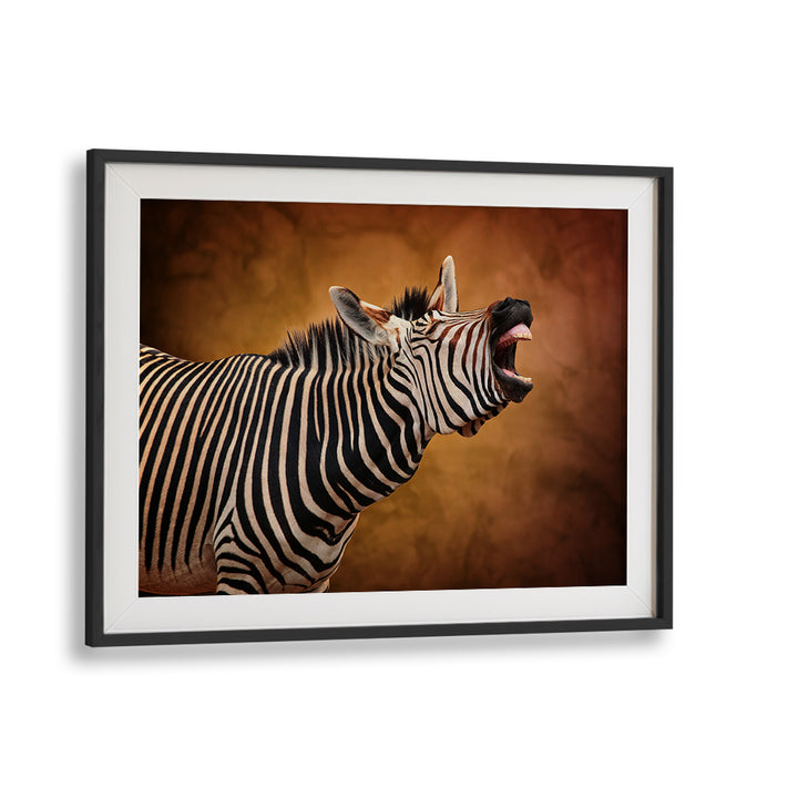 Striking zebra photography print, celebrating love and connection in wildlife. LOVE IS IN THE AIR, PHOTOGRAPHY PRINTS.