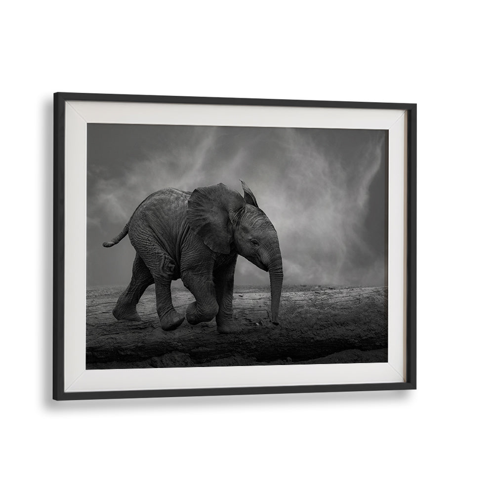 Solitary elephant walking across a barren landscape, perfect for WALKING AROUND, PHOTOGRAPHY PRINTS collection.