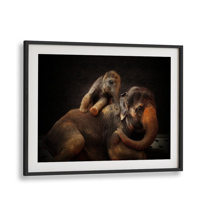 A heartwarming scene featuring elephants, perfect for "FUN WITH THE KIDS I, PHOTOGRAPHY PRINTS" collection.