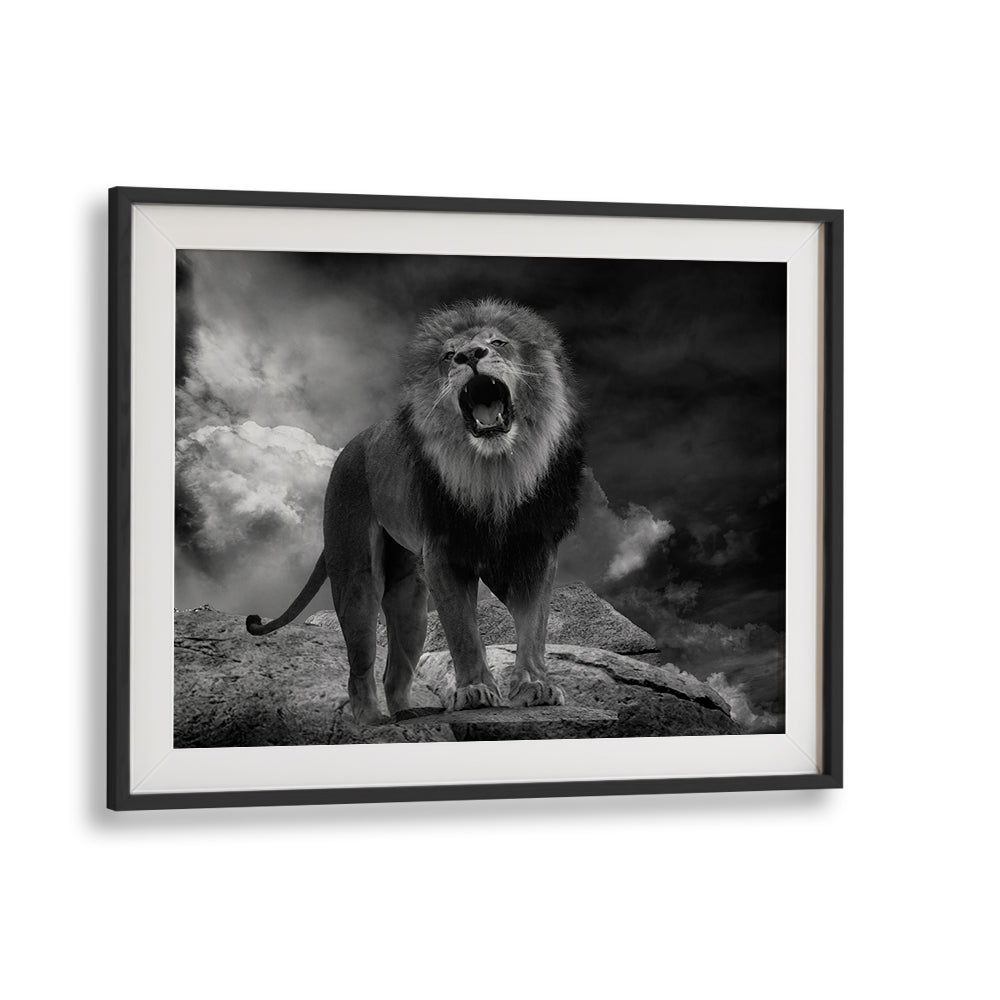 Majestic lion roaring against dramatic clouds, showcasing LION'S ROAR, PHOTOGRAPHY PRINTS for wildlife art lovers.