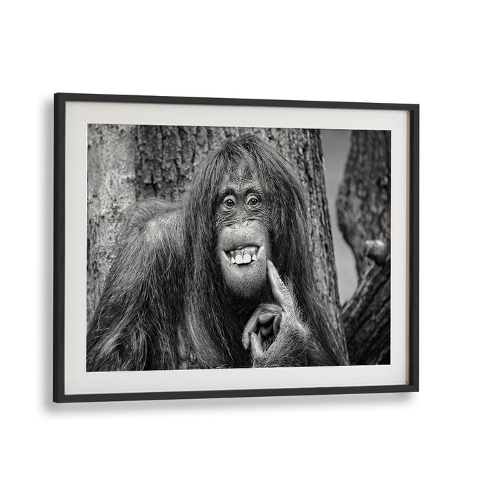Wildlife charm captured in "She's Got the Look, Photography Prints," showcasing nature's beauty in stunning detail.