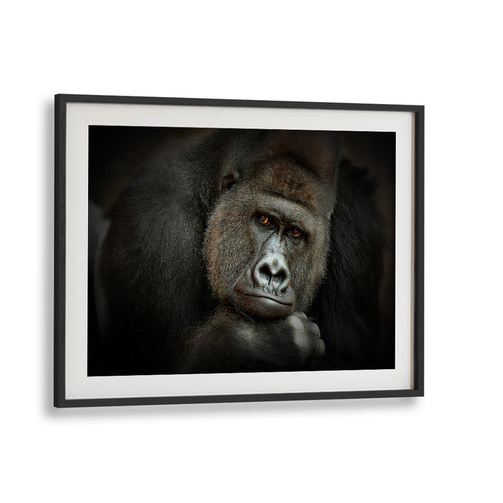 Stunning close-up of a gorilla in "Peaceful Giant" photography prints, capturing wildlife's serene beauty.
