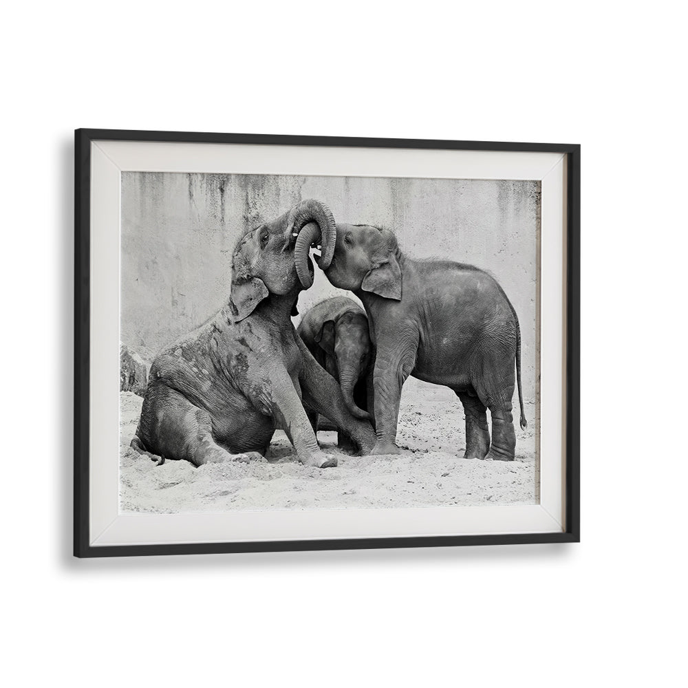 Elephant's at Playground, photography prints showcasing playful elephants in their natural habitat. Perfect for wildlife lovers.