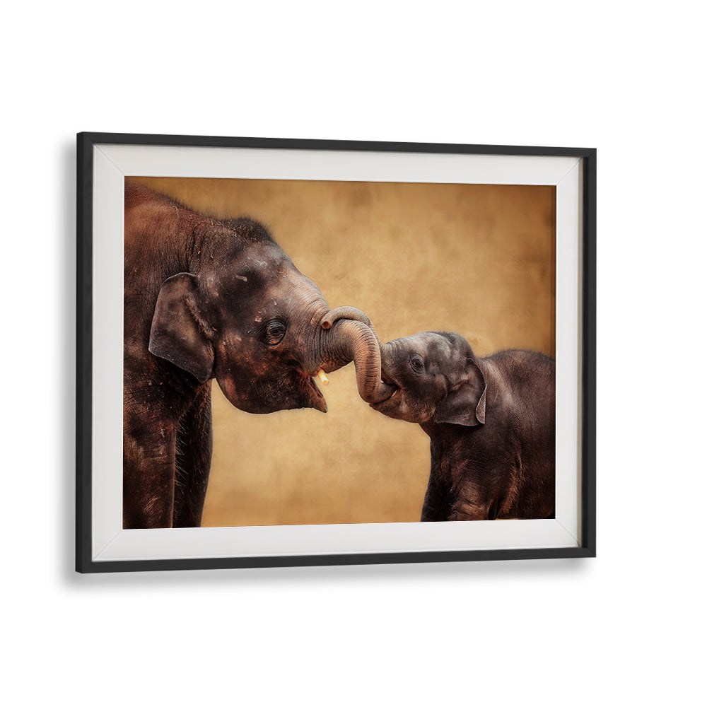 Two elephants touching trunks in a warm-toned setting, showcasing HAND IN HAND, PHOTOGRAPHY PRINTS of wildlife beauty.