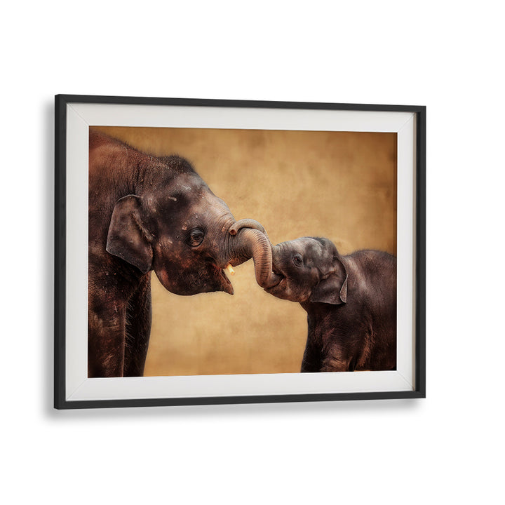 Two elephants touching trunks in a warm-toned setting, showcasing HAND IN HAND, PHOTOGRAPHY PRINTS of wildlife beauty.