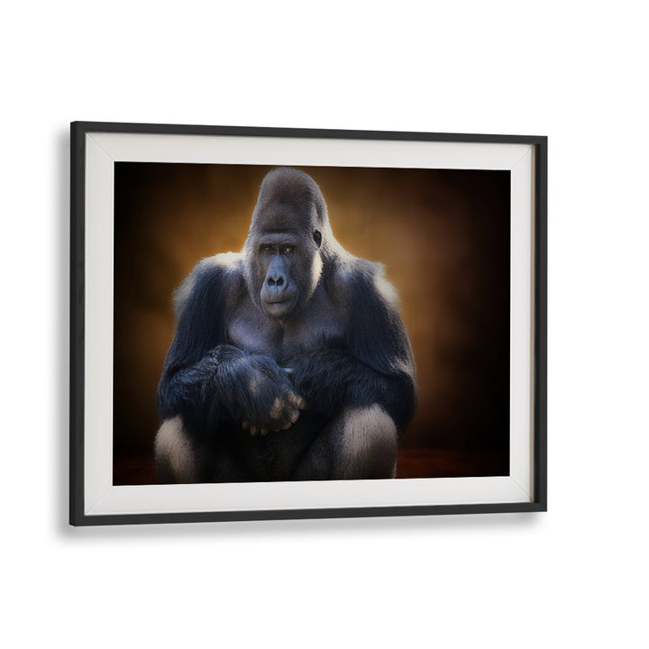 Stunning gorilla portrait from SOUR, PHOTOGRAPHY PRINTS collection, showcasing captivating wildlife artistry.