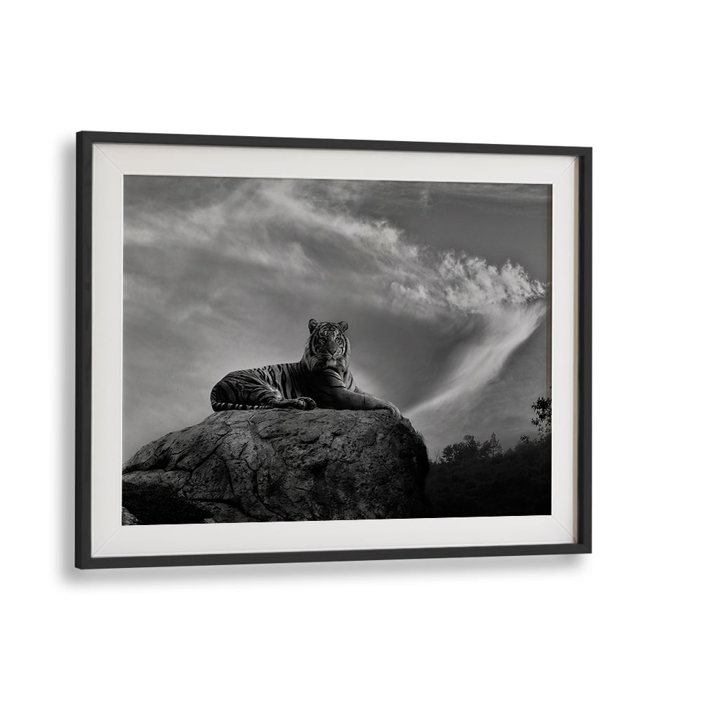 Majestic tiger on a rock in black and white, showcasing ON THE WATCH, PHOTOGRAPHY PRINTS for nature lovers.