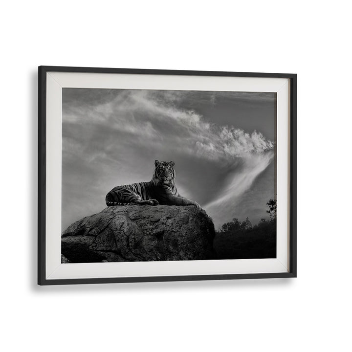 Majestic tiger on a rock in black and white, showcasing ON THE WATCH, PHOTOGRAPHY PRINTS for nature lovers.