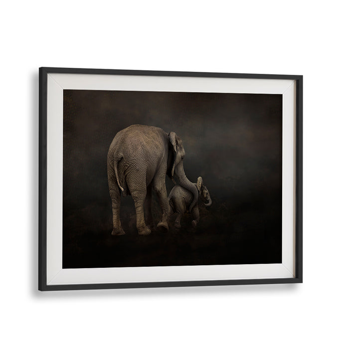 Majestic elephants in "I HOLD YOU, PHOTOGRAPHY PRINTS" beautifully capture a tender wildlife moment. Perfect for nature lovers.