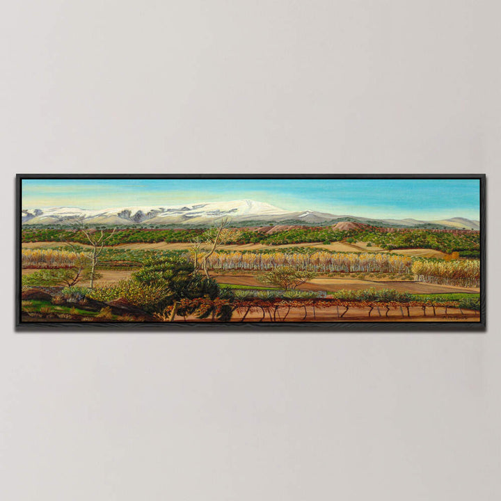 VINEYARD VALLEY IN THE SIERRA NEVADA SURROUNDINGS