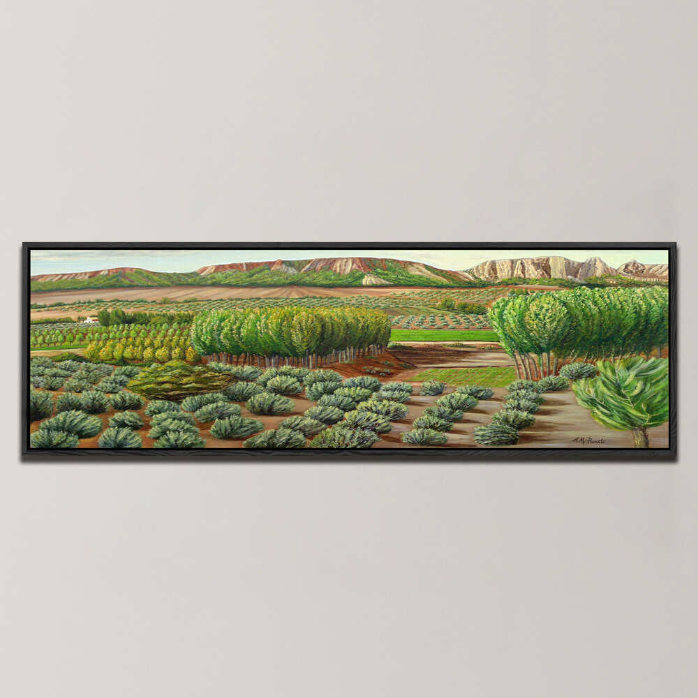 BRIGHT MORNING IN ALCUDIA