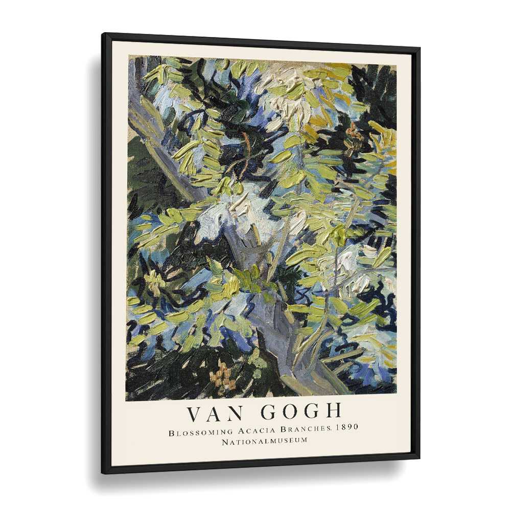 Blooms In Radiance Van Gogh's Blossoming Acacia Branches' - 1890 Vincent Van Gogh art painting Artwork in Black Plain Frame