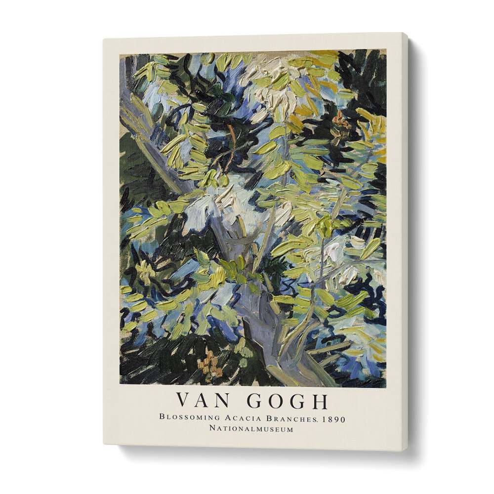 Blooms In Radiance Van Gogh's Blossoming Acacia Branches' - 1890 Vincent Van Gogh art painting Artwork in Gallery Wrap