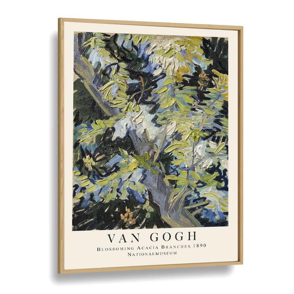 Blooms In Radiance Van Gogh's Blossoming Acacia Branches' - 1890 Vincent Van Gogh art painting Artwork in Oak Wood Plain Frame