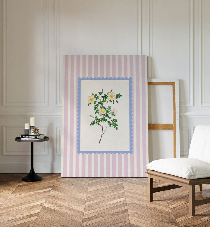 BLUSH WILD ROSE STUDY