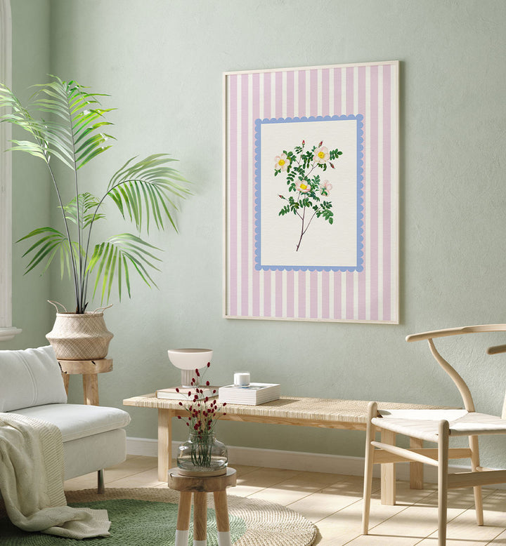 BLUSH WILD ROSE STUDY