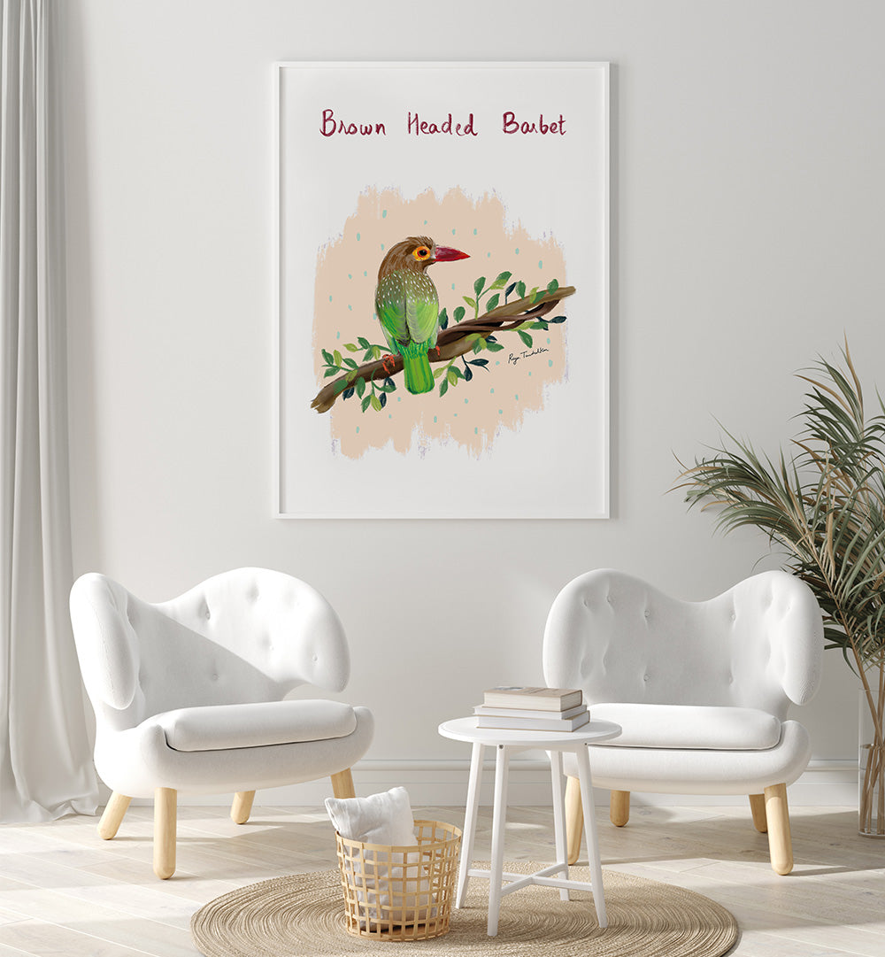 BROWN HEADED BARBET