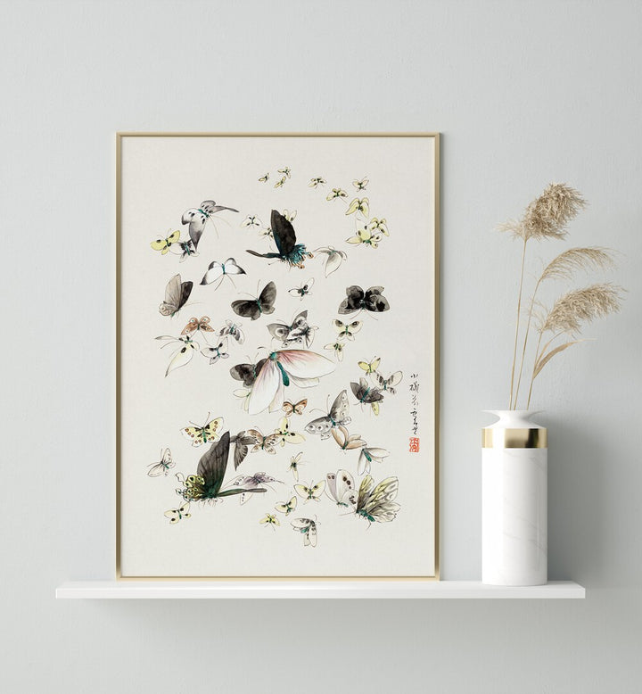 BUTTERFLIES AND MOTHS , VINTAGE PAINTINGS