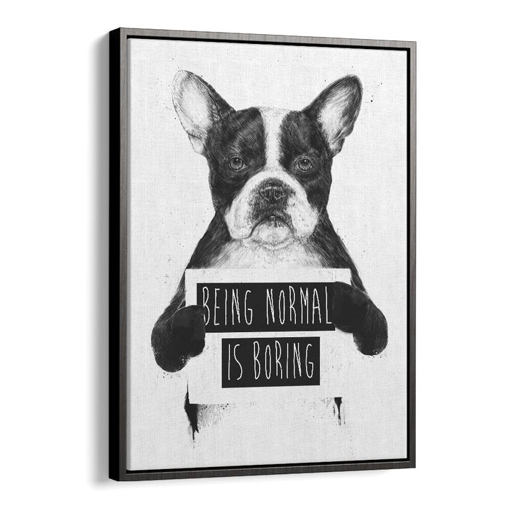 Being Normal Is Boring By Balazs Solti Wildlife Art Prints in Black Floater Frame