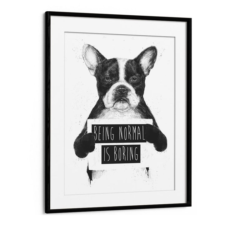 Being Normal Is Boring By Balazs Solti Wildlife Art Prints in Black Frame With Mount