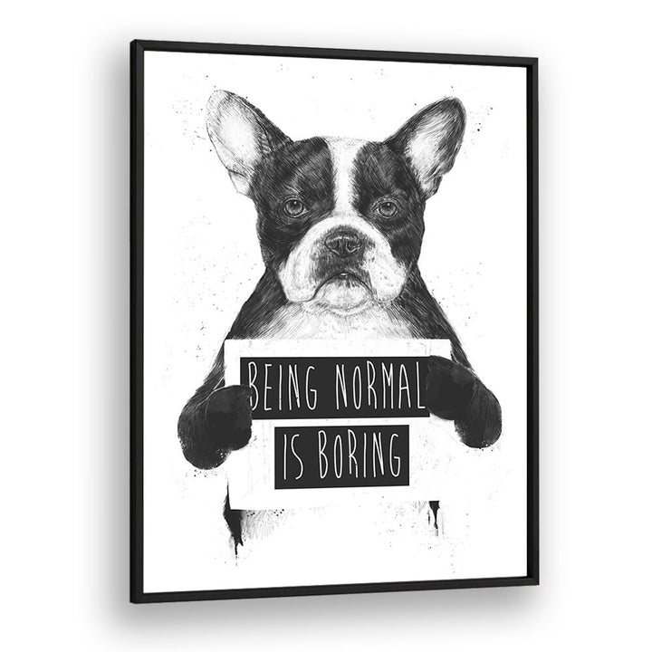 Being Normal Is Boring By Balazs Solti Wildlife Art Prints in Black Plain Frame